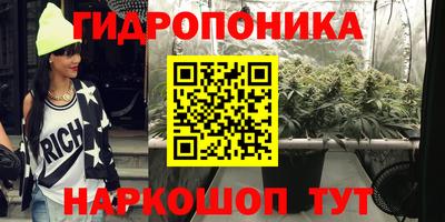 стаф Коммунар