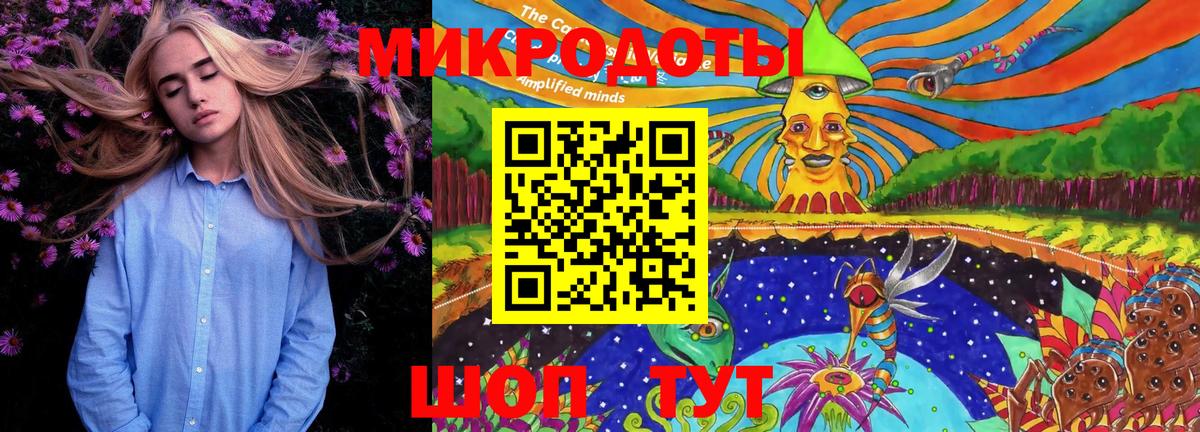 Псилоцибиновые грибы Psilocybine cubensis Ковров